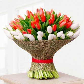 101 красный и белый тюльпан