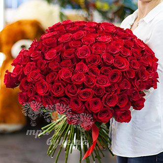 101 красная роза (Premium) 70 см.