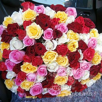 101 разноцветная роза 50 см.