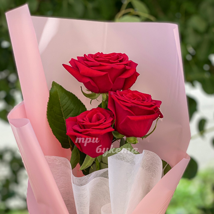 Мини-букет из 3 красных роз (крупный план)