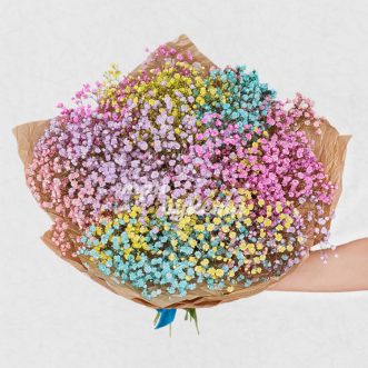 Букет из 13 веток цветных гипсофил