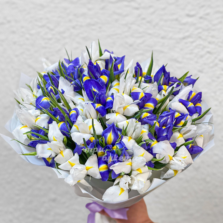 Букет из белых и синих ирисов (крупный план)