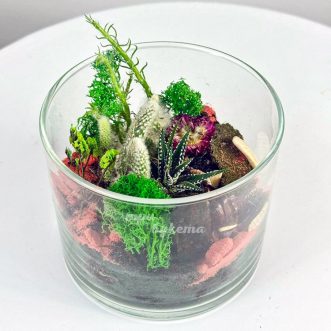 Флорариум из мхов, кактусов и сухоцветов
