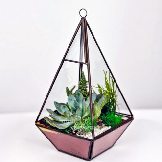 Флорариум с кактусом, мхом и эхеверией